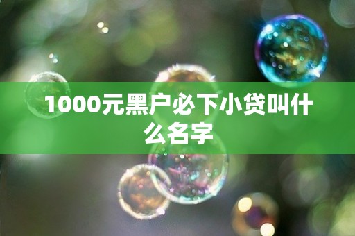1000元黑户必下小贷叫什么名字