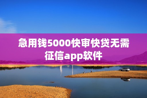 急用钱5000快审快贷无需征信app软件