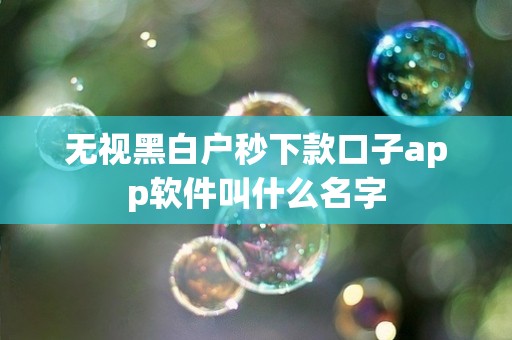 无视黑白户秒下款口子app软件叫什么名字