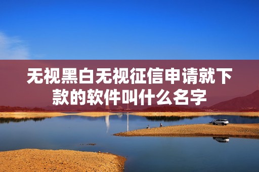 无视黑白无视征信申请就下款的软件叫什么名字