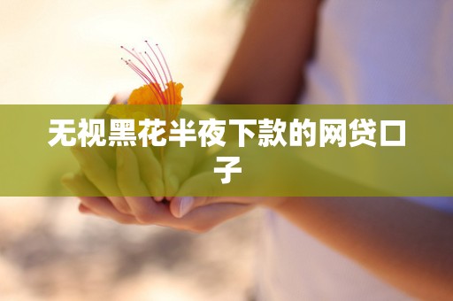 无视黑花半夜下款的网贷口子