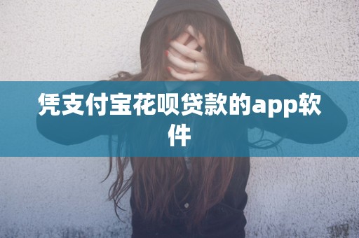 凭支付宝花呗贷款的app软件