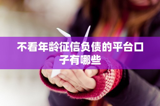 不看年龄征信负债的平台口子有哪些