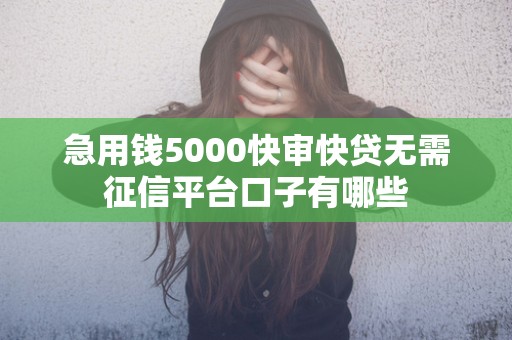 急用钱5000快审快贷无需征信平台口子有哪些