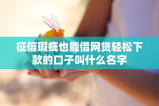 征信瑕疵也能借网贷轻松下款的口子叫什么名字 征信瑕疵也能借网贷轻松下款的口子叫什么名字