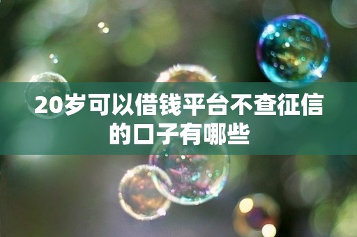 20岁可以借钱平台不查征信的口子有哪些 20岁可以借钱平台不查征信的口子有哪些