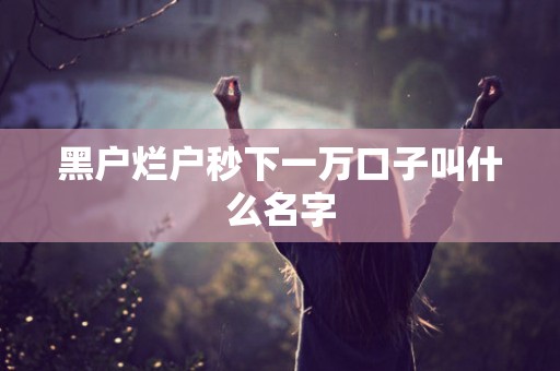 黑户烂户秒下一万口子叫什么名字