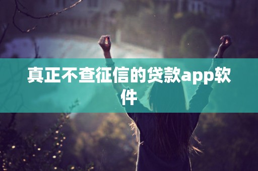 真正不查征信的贷款app软件 真正不查征信的贷款app软件