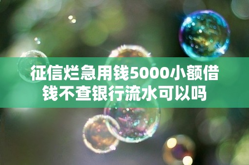 征信烂急用钱5000小额借钱不查银行流水可以吗 征信烂急用钱5000小额借钱不查银行流水可以吗