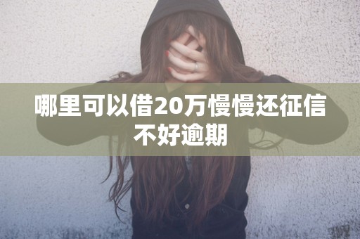哪里可以借20万慢慢还征信不好逾期 哪里可以借20万慢慢还征信不好逾期
