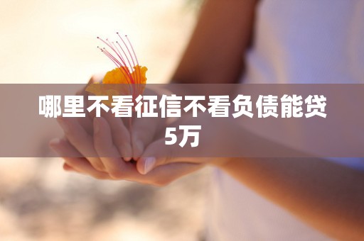 哪里不看征信不看负债能贷5万 哪里不看征信不看负债能贷5万