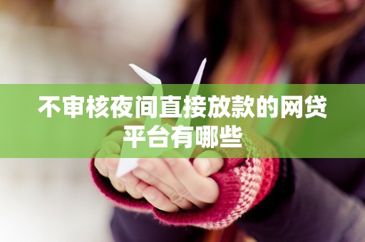 不审核夜间直接放款的网贷平台有哪些 不审核夜间直接放款的网贷平台有哪些