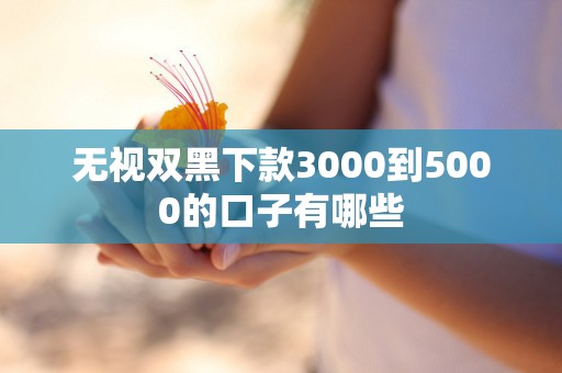 无视双黑下款3000到5000的口子有哪些