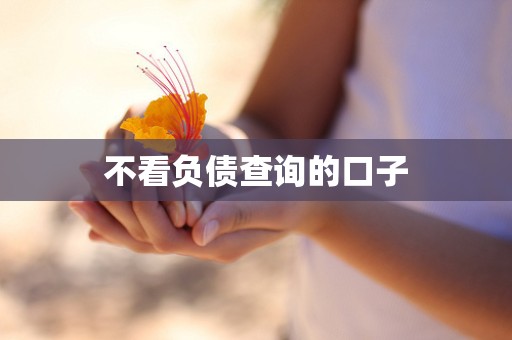 不看负债查询的口子