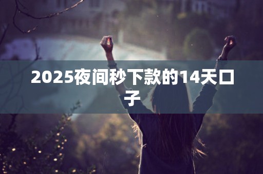 2025夜间秒下款的14天口子