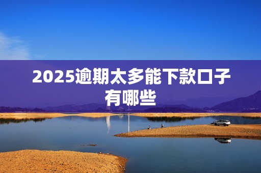 2025逾期太多能下款口子有哪些 2025逾期太多能下款口子有哪些