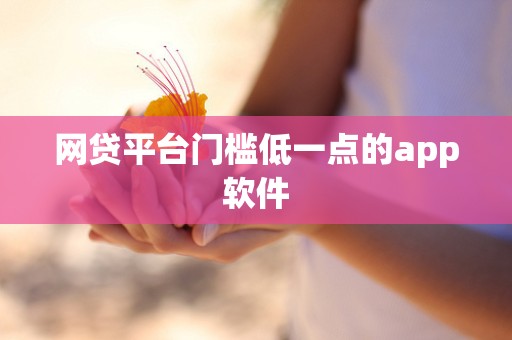 网贷平台门槛低一点的app软件 网贷平台门槛低一点的app软件