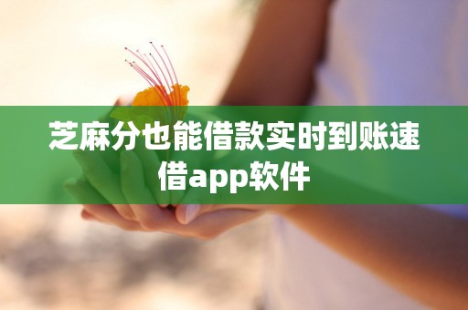 芝麻分也能借款实时到账速借app软件