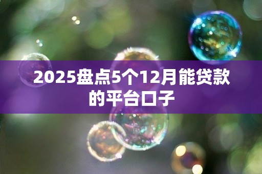 2025盘点5个12月能贷款的平台口子 2025盘点5个12月能贷款的平台口子