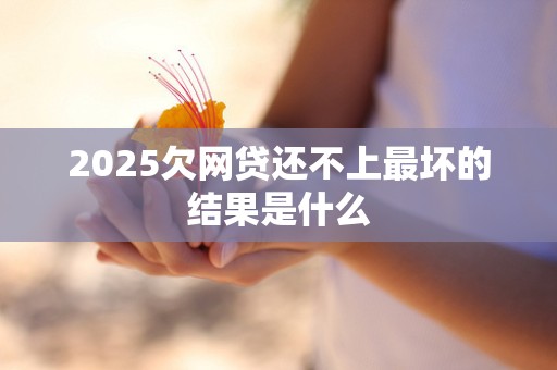 2025欠网贷还不上最坏的结果是什么 2025欠网贷还不上最坏的结果是什么