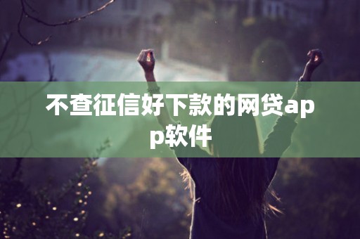 不查征信好下款的网贷app软件