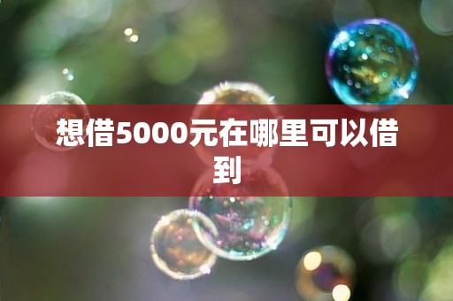 想借5000元在哪里可以借到