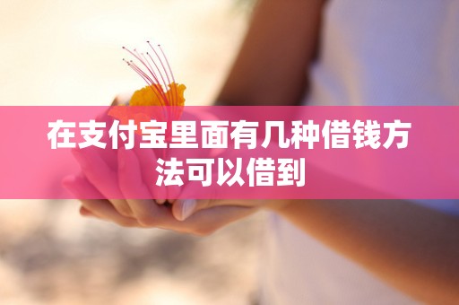 在支付宝里面有几种借钱方法可以借到