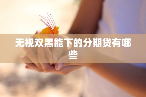 无视双黑能下的分期贷有哪些