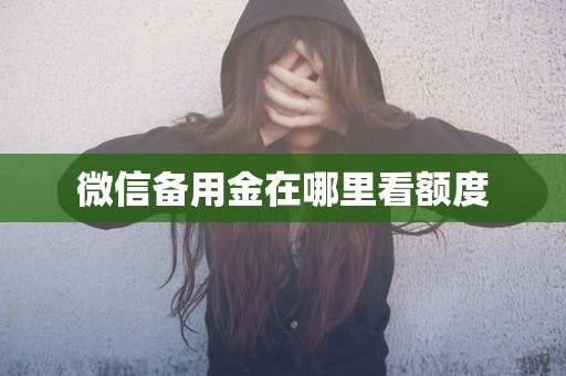 微信备用金在哪里看额度