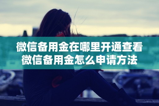 微信备用金在哪里开通查看微信备用金怎么申请方法
