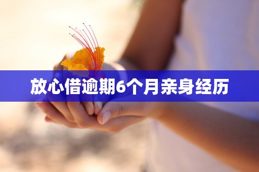 放心借逾期6个月亲身经历 放心借逾期6个月亲身经历