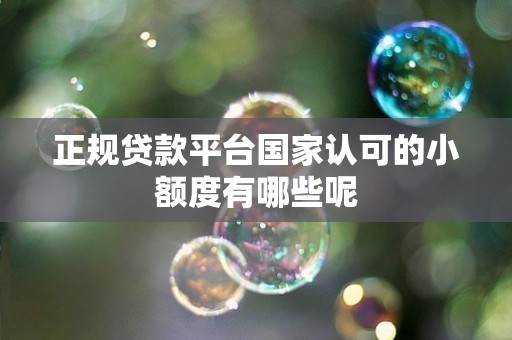 正规贷款平台国家认可的小额度有哪些呢
