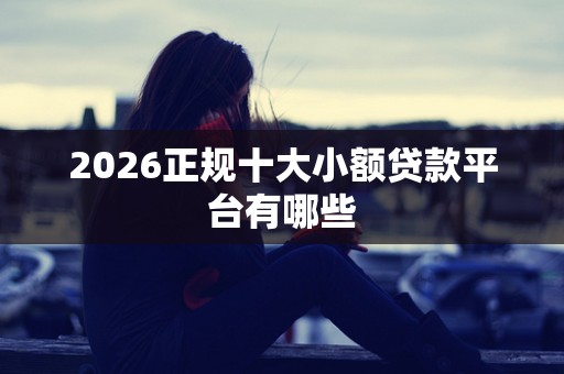 2026正规十大小额贷款平台有哪些