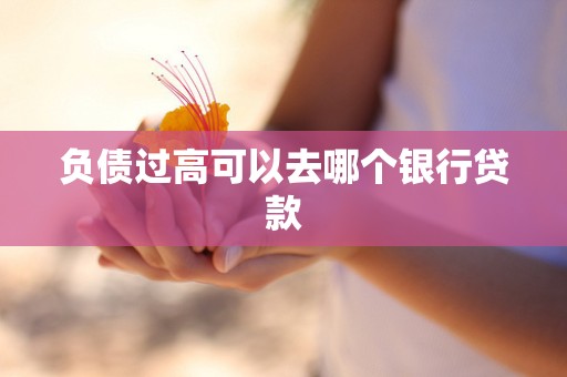 负债过高可以去哪个银行贷款 负债过高可以去哪个银行贷款