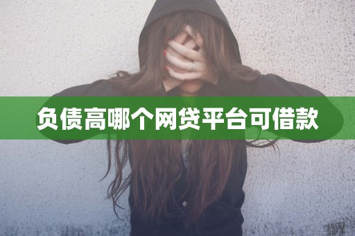负债高哪个网贷平台可借款 负债高哪个网贷平台可借款