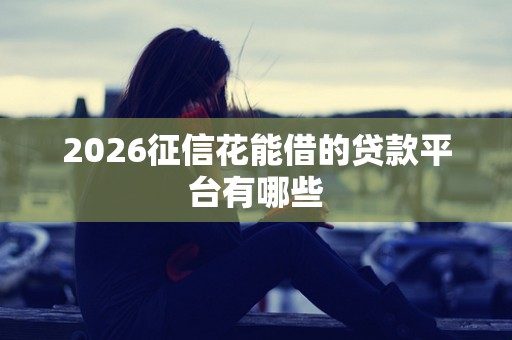 2026征信花能借的贷款平台有哪些