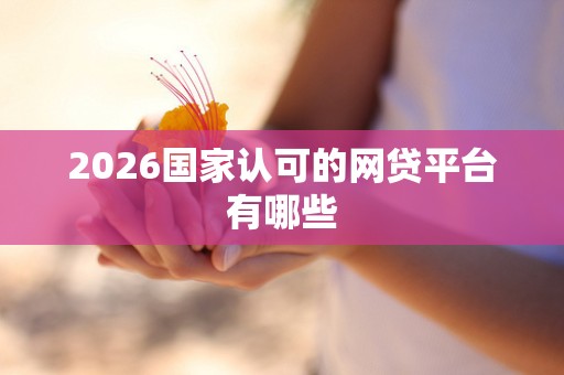 2026国家认可的网贷平台有哪些