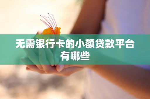 无需银行卡的小额贷款平台有哪些