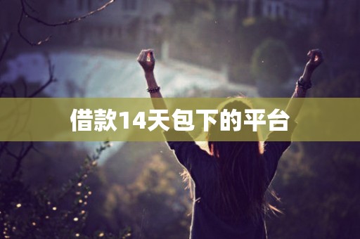 借款14天包下的平台