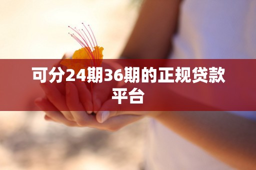 可分24期36期的正规贷款平台