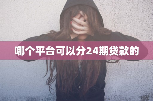哪个平台可以分24期贷款的