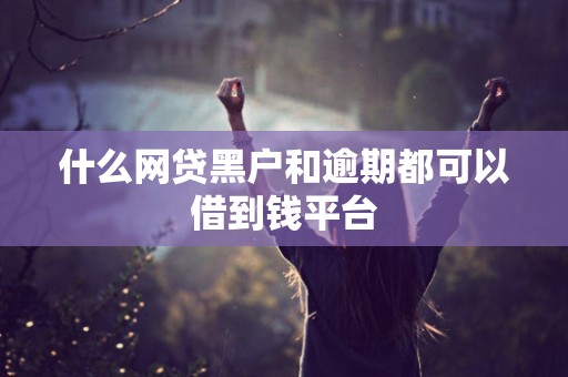什么网贷黑户和逾期都可以借到钱平台
