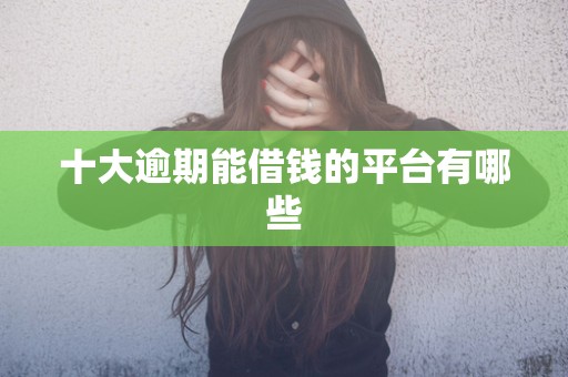 十大逾期能借钱的平台有哪些