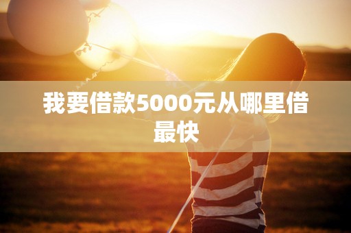 我要借款5000元从哪里借最快