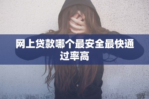 网上贷款哪个最安全最快通过率高