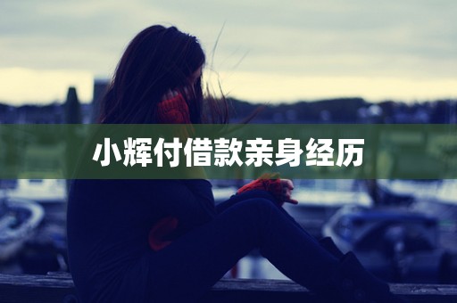 小辉付借款亲身经历
