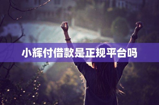 小辉付借款是正规平台吗 小辉付借款是正规平台吗