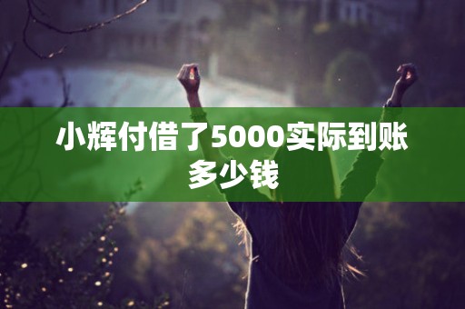 小辉付借了5000实际到账多少钱
