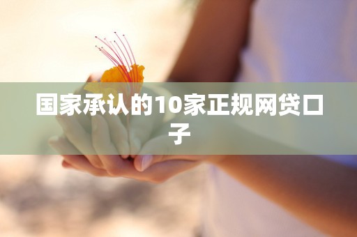国家承认的10家正规网贷口子