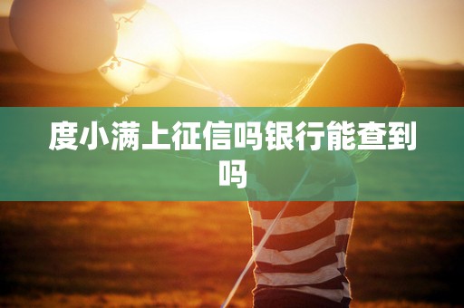 度小满上征信吗银行能查到吗